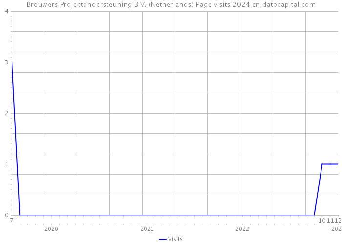 Brouwers Projectondersteuning B.V. (Netherlands) Page visits 2024 