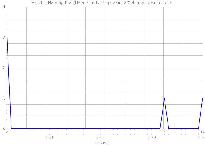 Vesal III Holding B.V. (Netherlands) Page visits 2024 