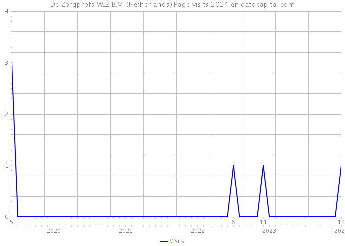 De Zorgprofs WLZ B.V. (Netherlands) Page visits 2024 
