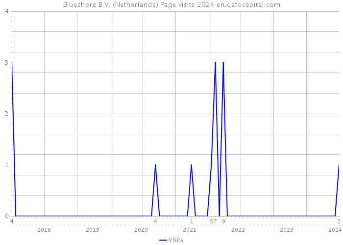 Blueshore B.V. (Netherlands) Page visits 2024 