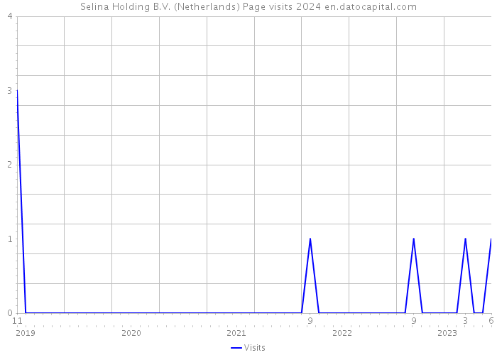 Selina Holding B.V. (Netherlands) Page visits 2024 