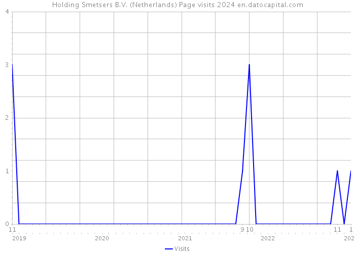 Holding Smetsers B.V. (Netherlands) Page visits 2024 