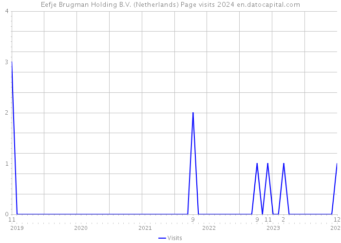Eefje Brugman Holding B.V. (Netherlands) Page visits 2024 