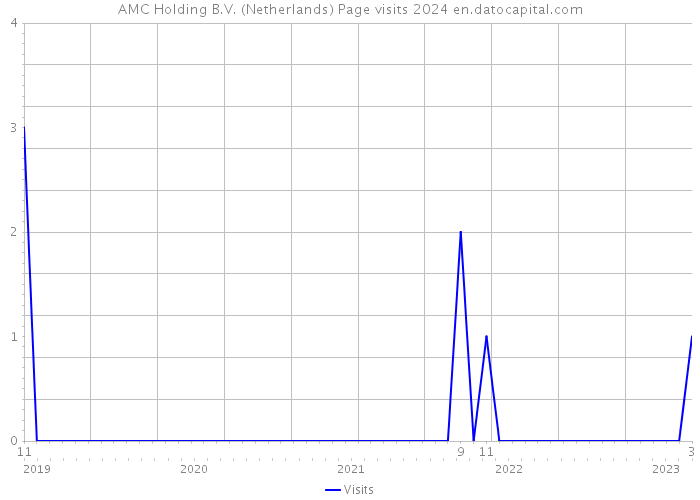 AMC Holding B.V. (Netherlands) Page visits 2024 