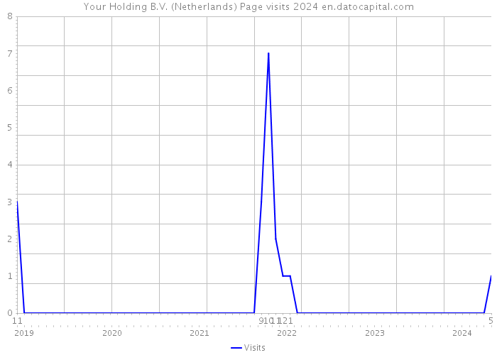 Your Holding B.V. (Netherlands) Page visits 2024 