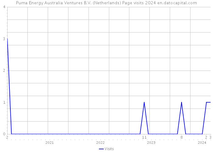 Puma Energy Australia Ventures B.V. (Netherlands) Page visits 2024 