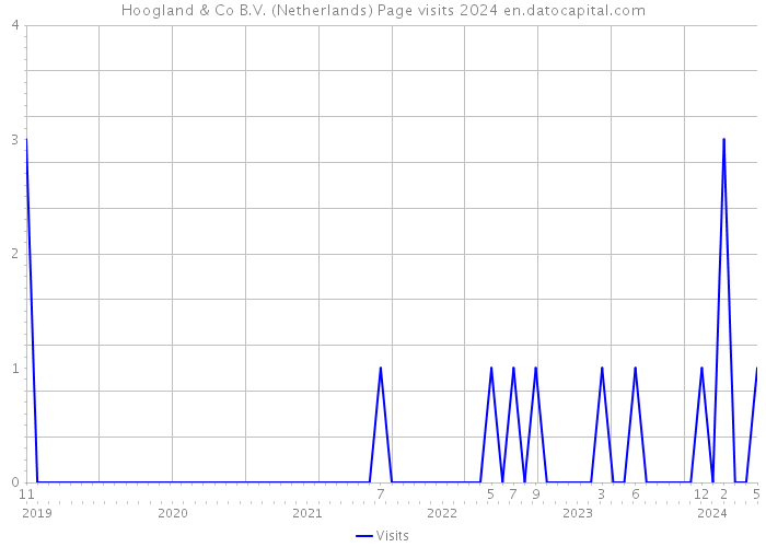 Hoogland & Co B.V. (Netherlands) Page visits 2024 