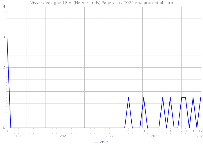 Vissers Vastgoed B.V. (Netherlands) Page visits 2024 