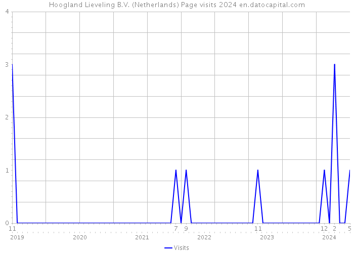 Hoogland Lieveling B.V. (Netherlands) Page visits 2024 