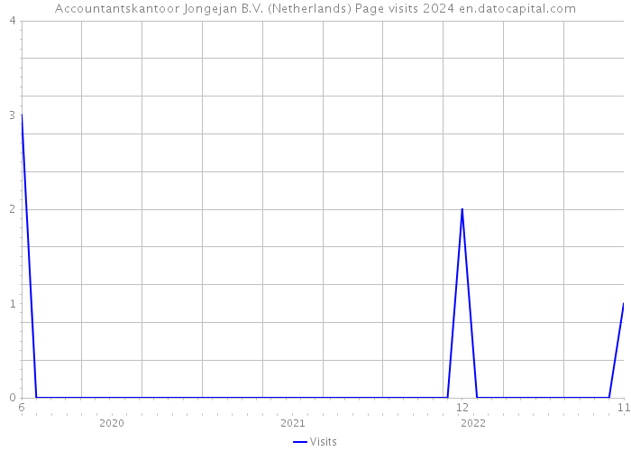 Accountantskantoor Jongejan B.V. (Netherlands) Page visits 2024 