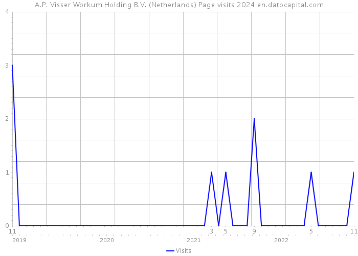 A.P. Visser Workum Holding B.V. (Netherlands) Page visits 2024 