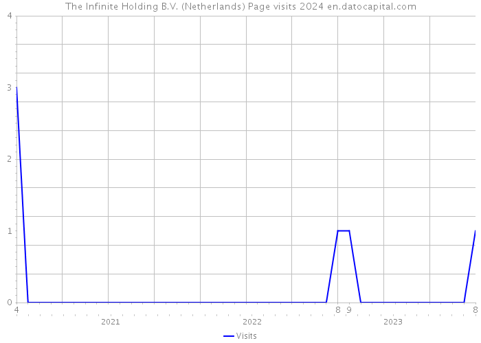 The Infinite Holding B.V. (Netherlands) Page visits 2024 