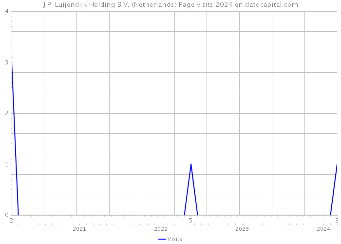 J.P. Luijendijk Holding B.V. (Netherlands) Page visits 2024 