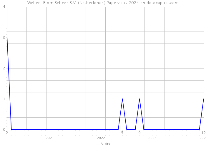 Welten-Blom Beheer B.V. (Netherlands) Page visits 2024 