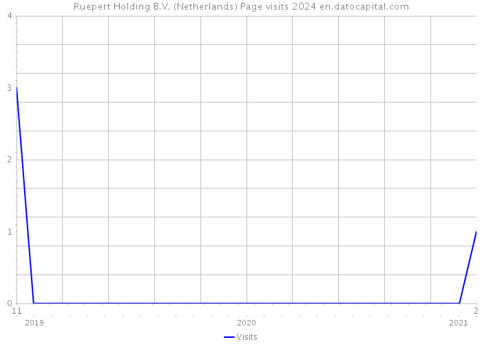 Ruepert Holding B.V. (Netherlands) Page visits 2024 