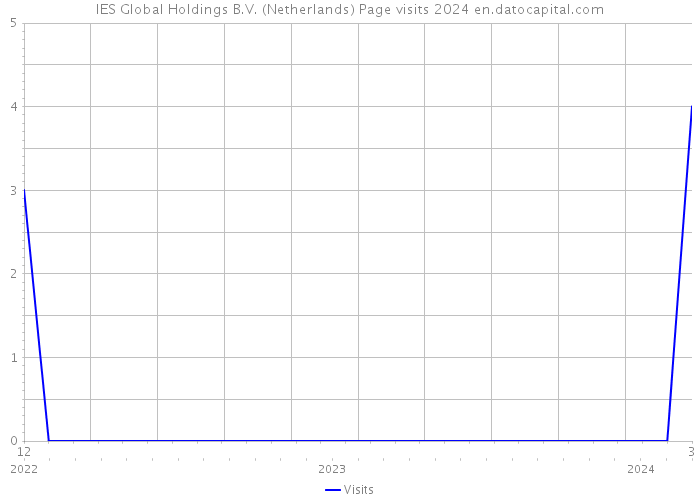 IES Global Holdings B.V. (Netherlands) Page visits 2024 