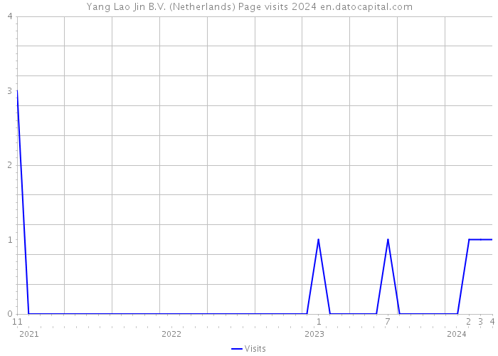 Yang Lao Jin B.V. (Netherlands) Page visits 2024 