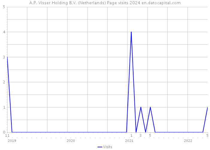 A.P. Visser Holding B.V. (Netherlands) Page visits 2024 