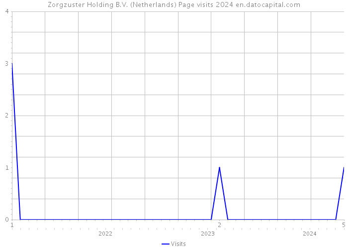 Zorgzuster Holding B.V. (Netherlands) Page visits 2024 