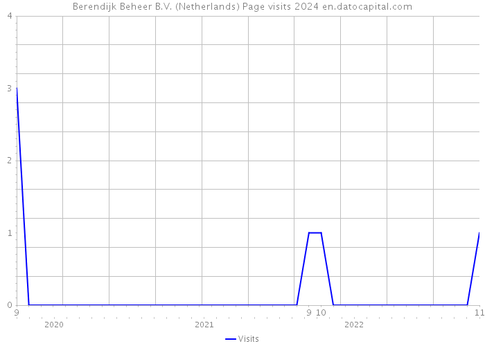 Berendijk Beheer B.V. (Netherlands) Page visits 2024 