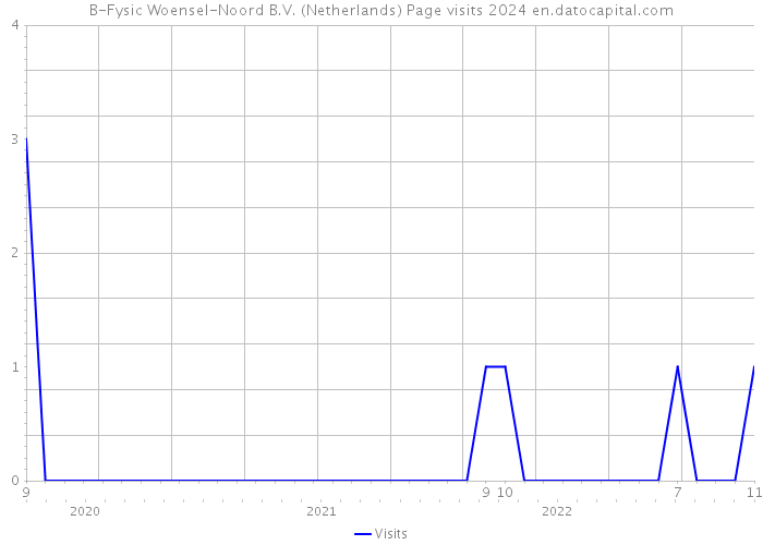 B-Fysic Woensel-Noord B.V. (Netherlands) Page visits 2024 