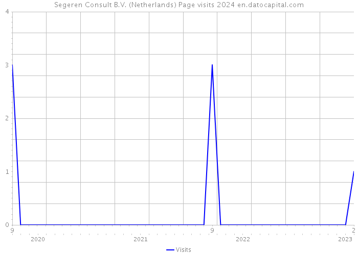 Segeren Consult B.V. (Netherlands) Page visits 2024 