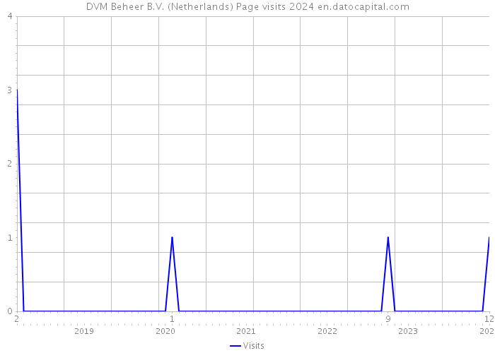 DVM Beheer B.V. (Netherlands) Page visits 2024 