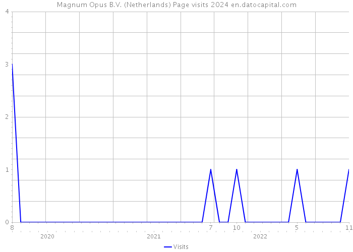 Magnum Opus B.V. (Netherlands) Page visits 2024 