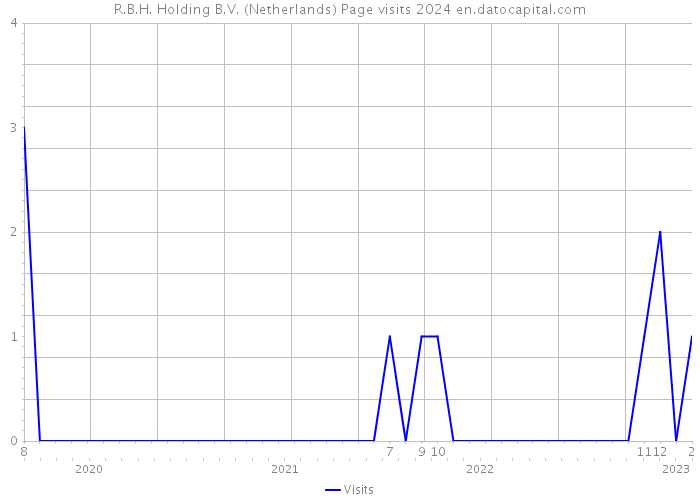 R.B.H. Holding B.V. (Netherlands) Page visits 2024 