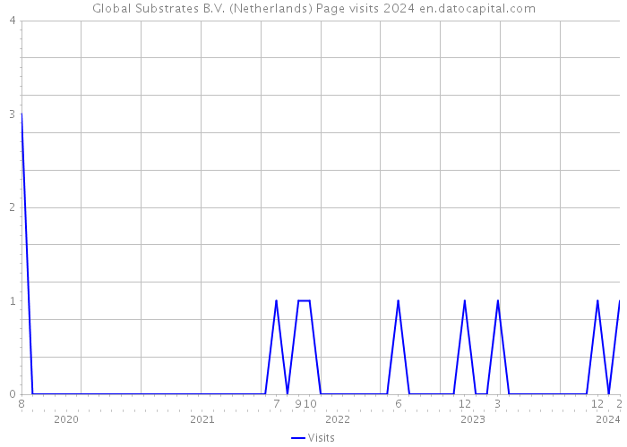Global Substrates B.V. (Netherlands) Page visits 2024 