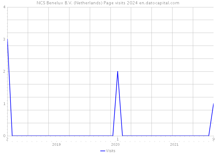NCS Benelux B.V. (Netherlands) Page visits 2024 
