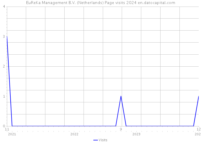 EuReKa Management B.V. (Netherlands) Page visits 2024 