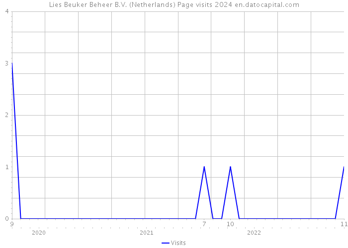 Lies Beuker Beheer B.V. (Netherlands) Page visits 2024 