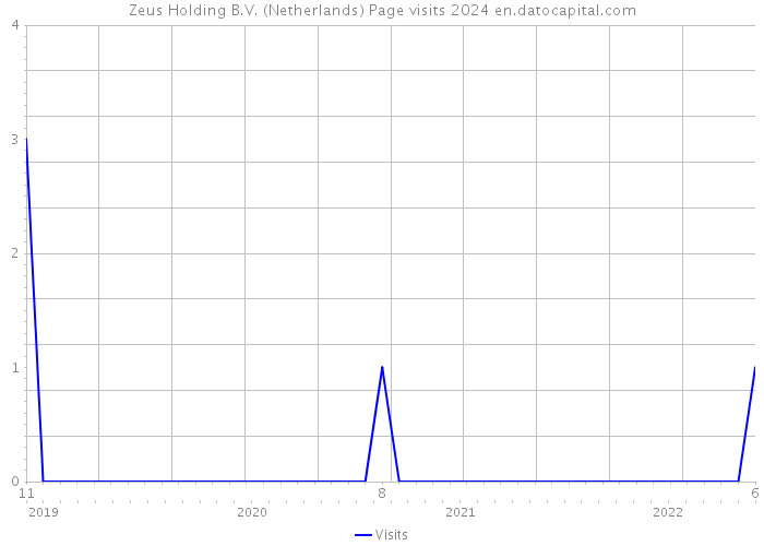 Zeus Holding B.V. (Netherlands) Page visits 2024 