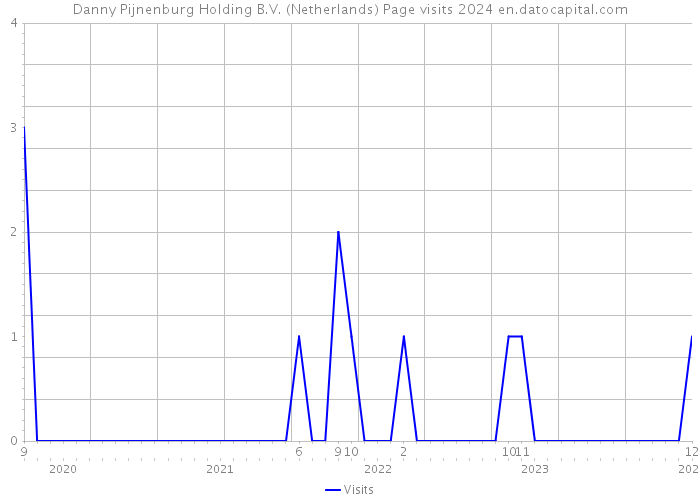 Danny Pijnenburg Holding B.V. (Netherlands) Page visits 2024 
