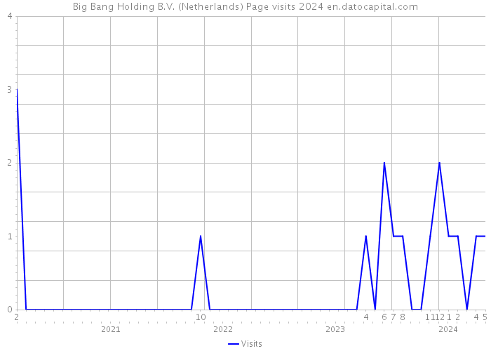 Big Bang Holding B.V. (Netherlands) Page visits 2024 