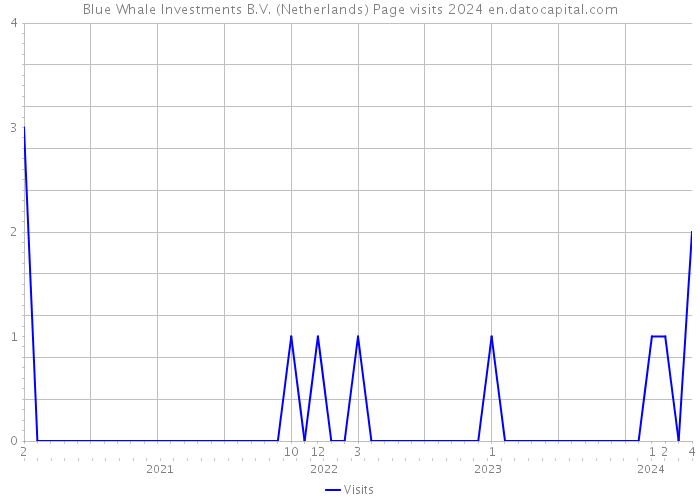 Blue Whale Investments B.V. (Netherlands) Page visits 2024 
