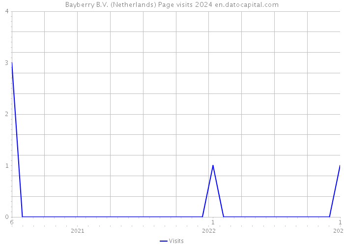 Bayberry B.V. (Netherlands) Page visits 2024 
