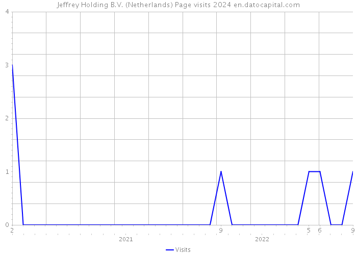 Jeffrey Holding B.V. (Netherlands) Page visits 2024 