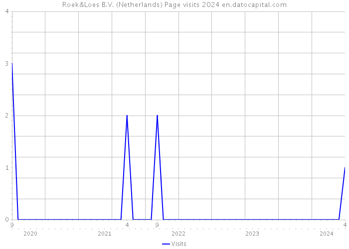 Roek&Loes B.V. (Netherlands) Page visits 2024 