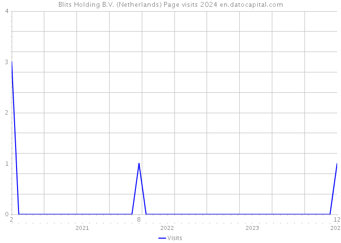 Blits Holding B.V. (Netherlands) Page visits 2024 