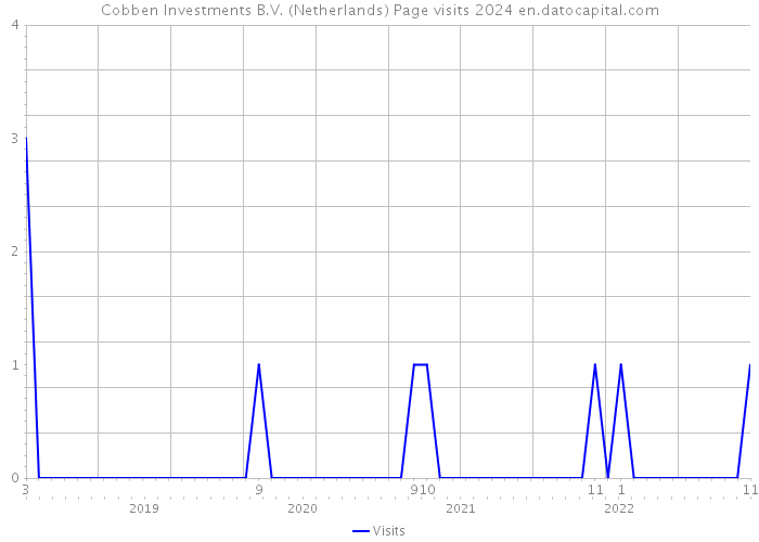 Cobben Investments B.V. (Netherlands) Page visits 2024 