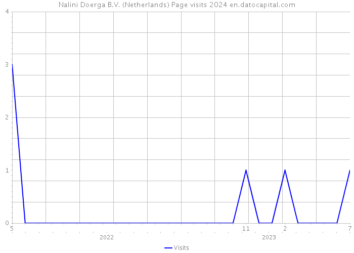 Nalini Doerga B.V. (Netherlands) Page visits 2024 