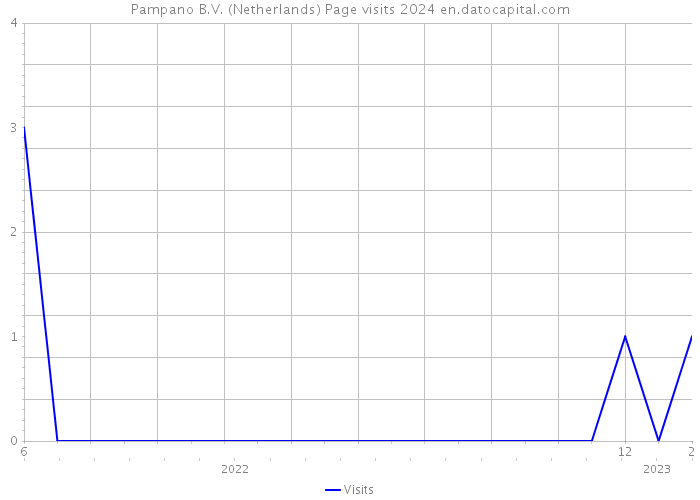 Pampano B.V. (Netherlands) Page visits 2024 