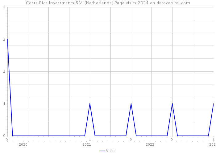 Costa Rica Investments B.V. (Netherlands) Page visits 2024 