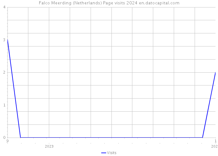 Falco Meerding (Netherlands) Page visits 2024 