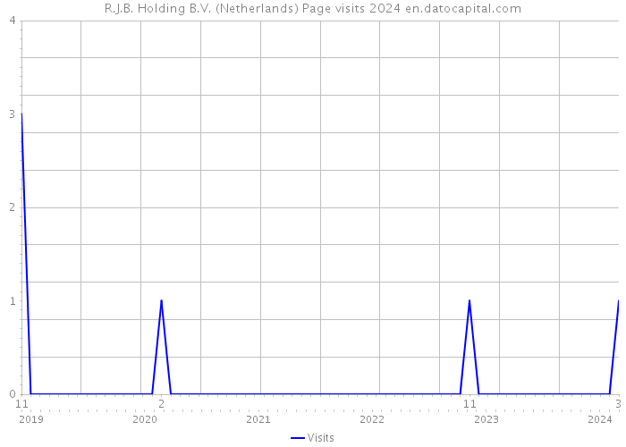 R.J.B. Holding B.V. (Netherlands) Page visits 2024 