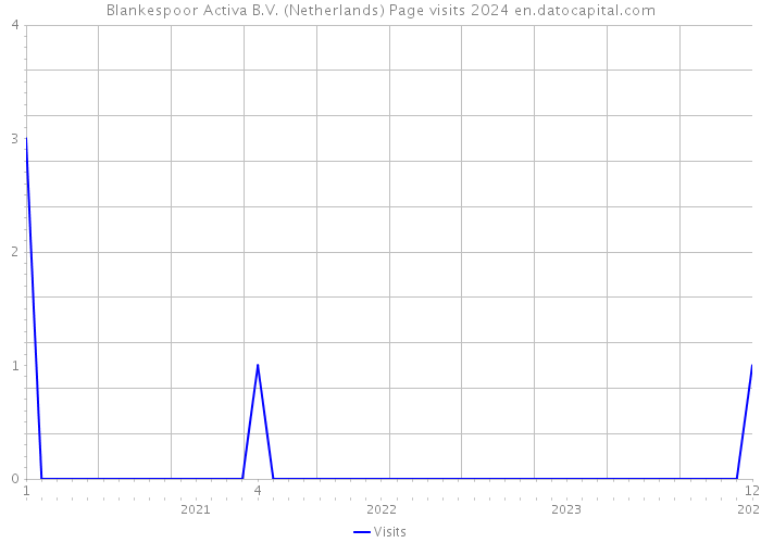 Blankespoor Activa B.V. (Netherlands) Page visits 2024 
