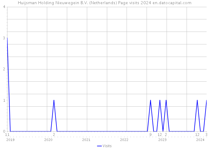 Huijsman Holding Nieuwegein B.V. (Netherlands) Page visits 2024 