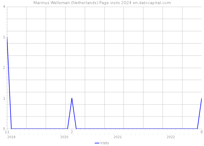 Marinus Welleman (Netherlands) Page visits 2024 